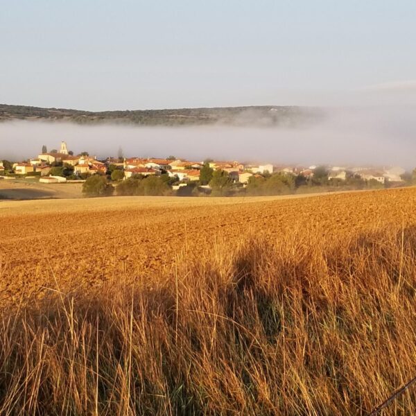 Solitary Morning