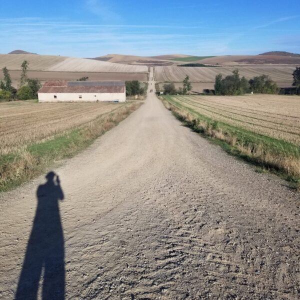 Morning Trail