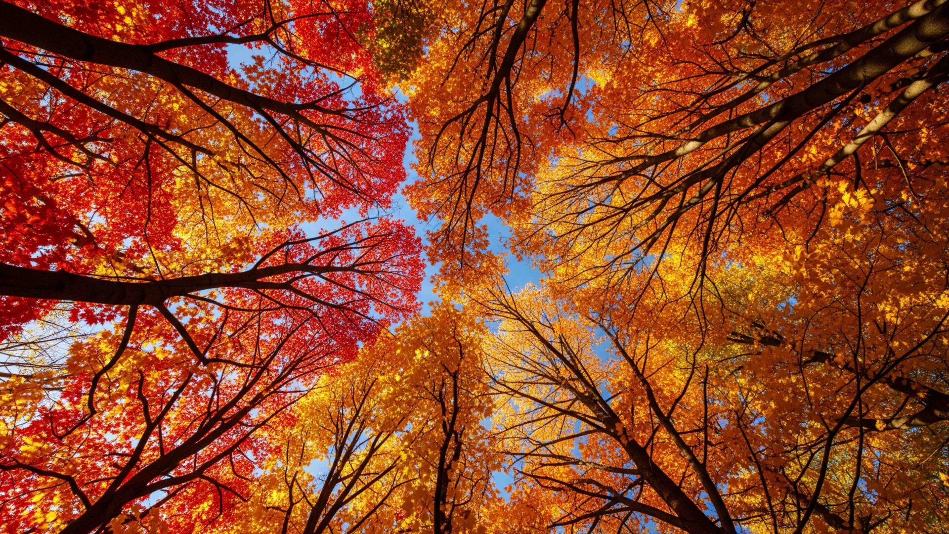Chapter 13 – A Season?